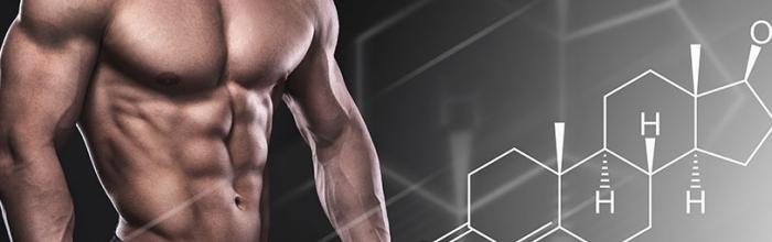 Testosterone Boosters